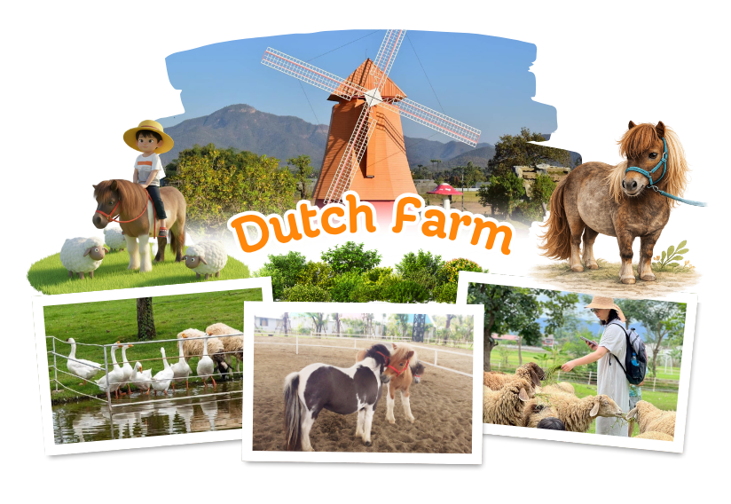 ดัชฟาร์ม ฟาร์มม้าแคระ เชียงใหม่